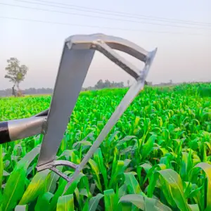 আধুনিক নিড়ানি